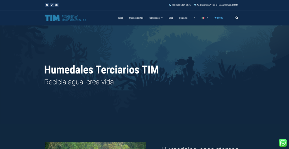 Think TIM screenshot